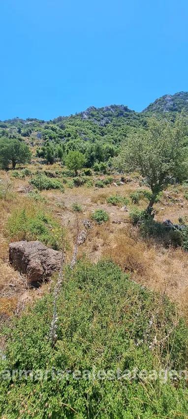 Marmaris Selimiye Dorf In einer für die Investition geeigneten 773 m2 großen verkaufsbaren Fläche Land