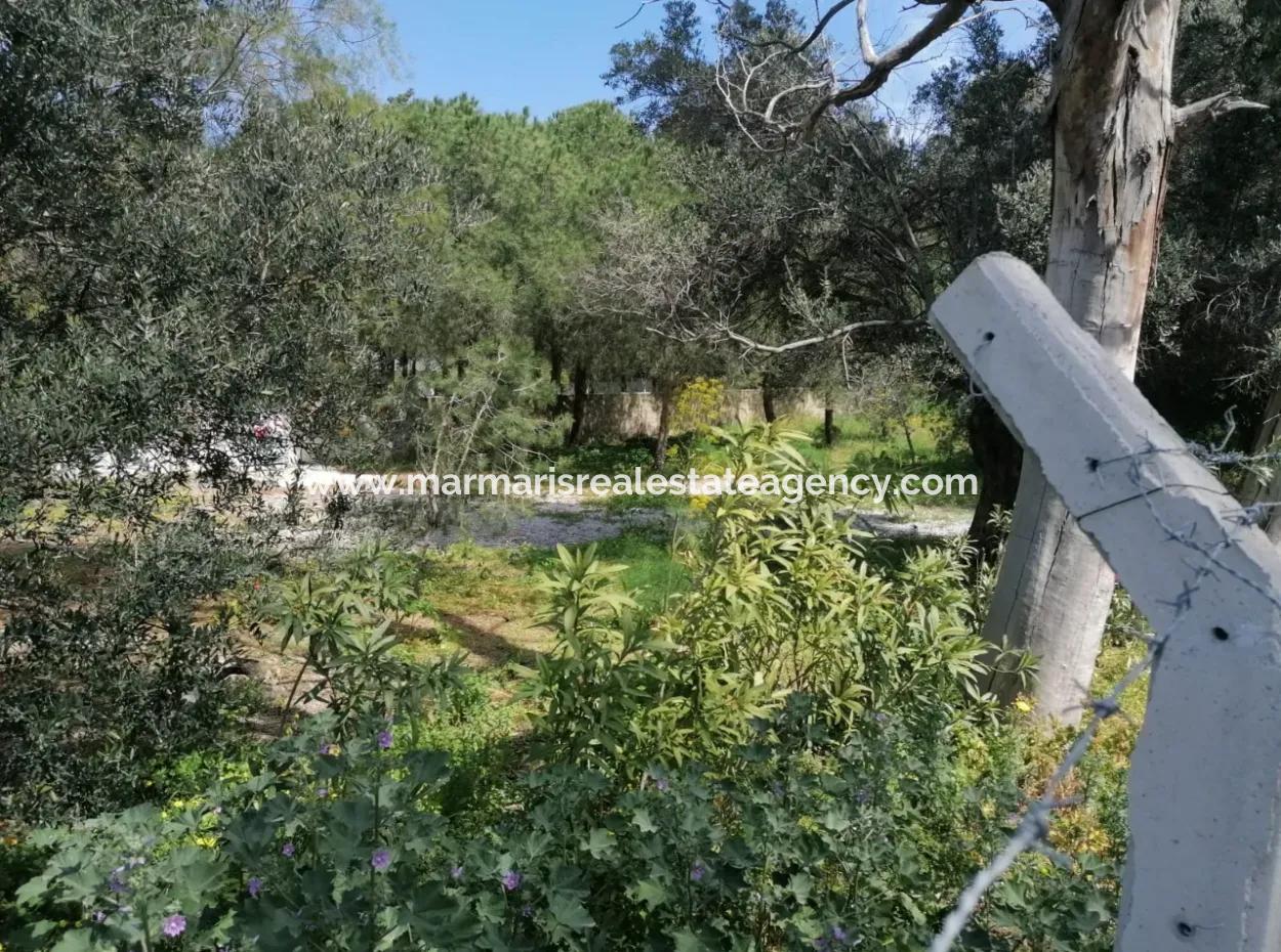 Grundstück Zu Verkaufen Mit 4000M2 Touristischen Entwicklung Am Meer In Bodrum Akyarlar