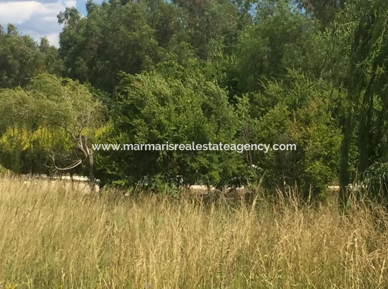 Erstaunliche Farm Zum Verkauf In Mugla Gokova Bay, Gebaut Auf 26000M2Arsa