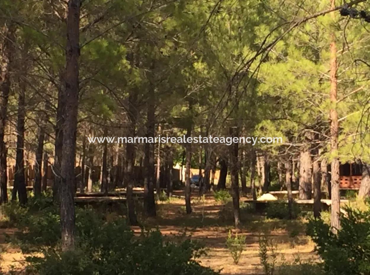 Grundstück Zum Verkauf Geeignet Für Bungalowhotel Auf 7500M2 Grundstück In Der Bucht Von Bördübet