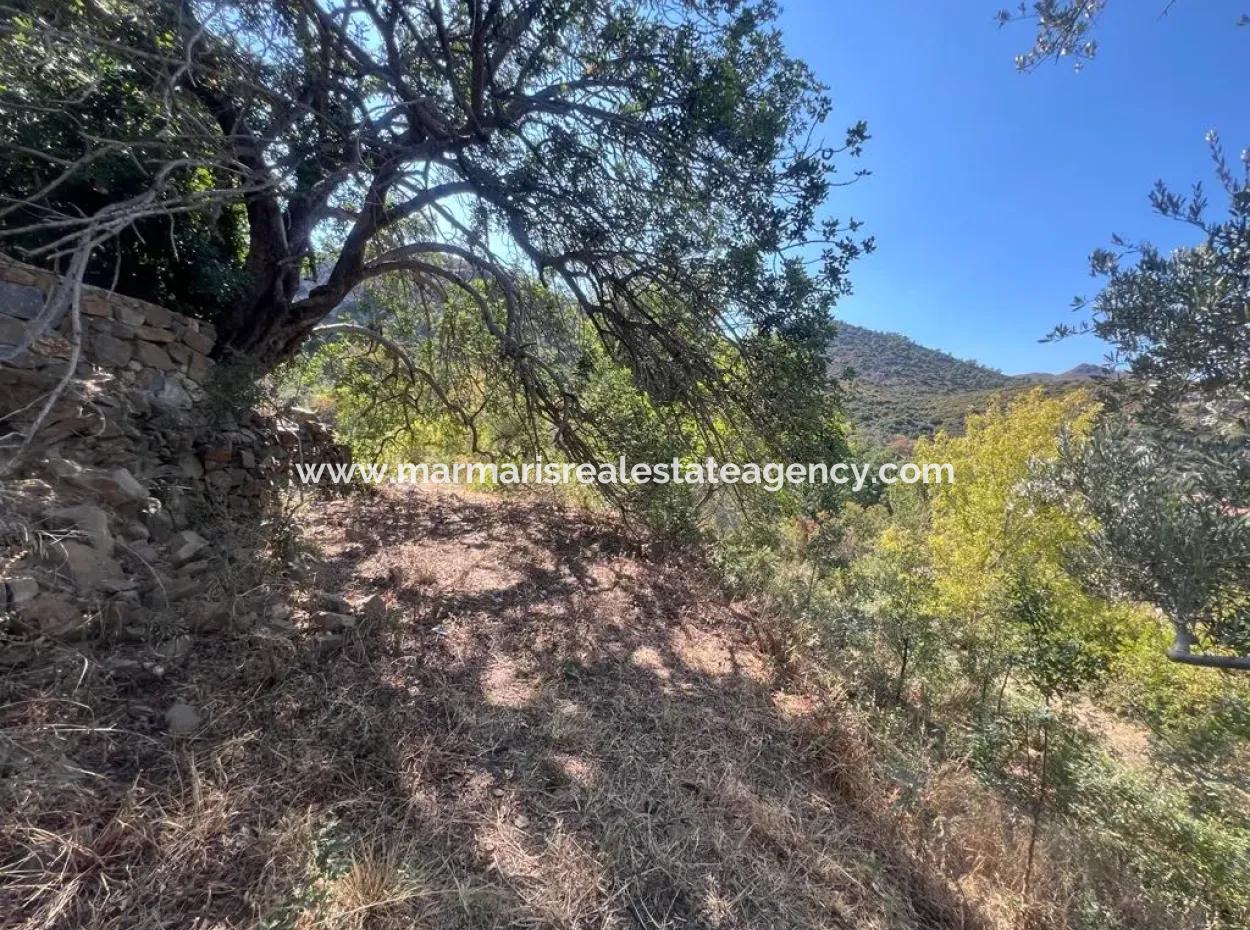 Grundstück Zum Verkauf In Marmaris Selimiye Nachbarschaft Mit Meerblick 5200M2, Geeignet Für Den Bau Von 2 Villen Oder Hotelbau