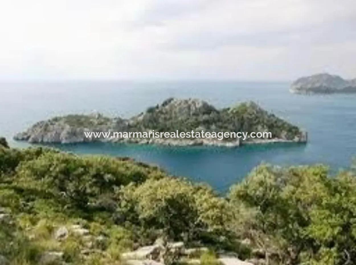 81000M2 Insel Zum Verkauf In Marmaris Region 31000M2 Eigentumsurkunde Offizieller Strom Wasser Verfügbar Herrenhaus Mit Legalem Haus Darin
