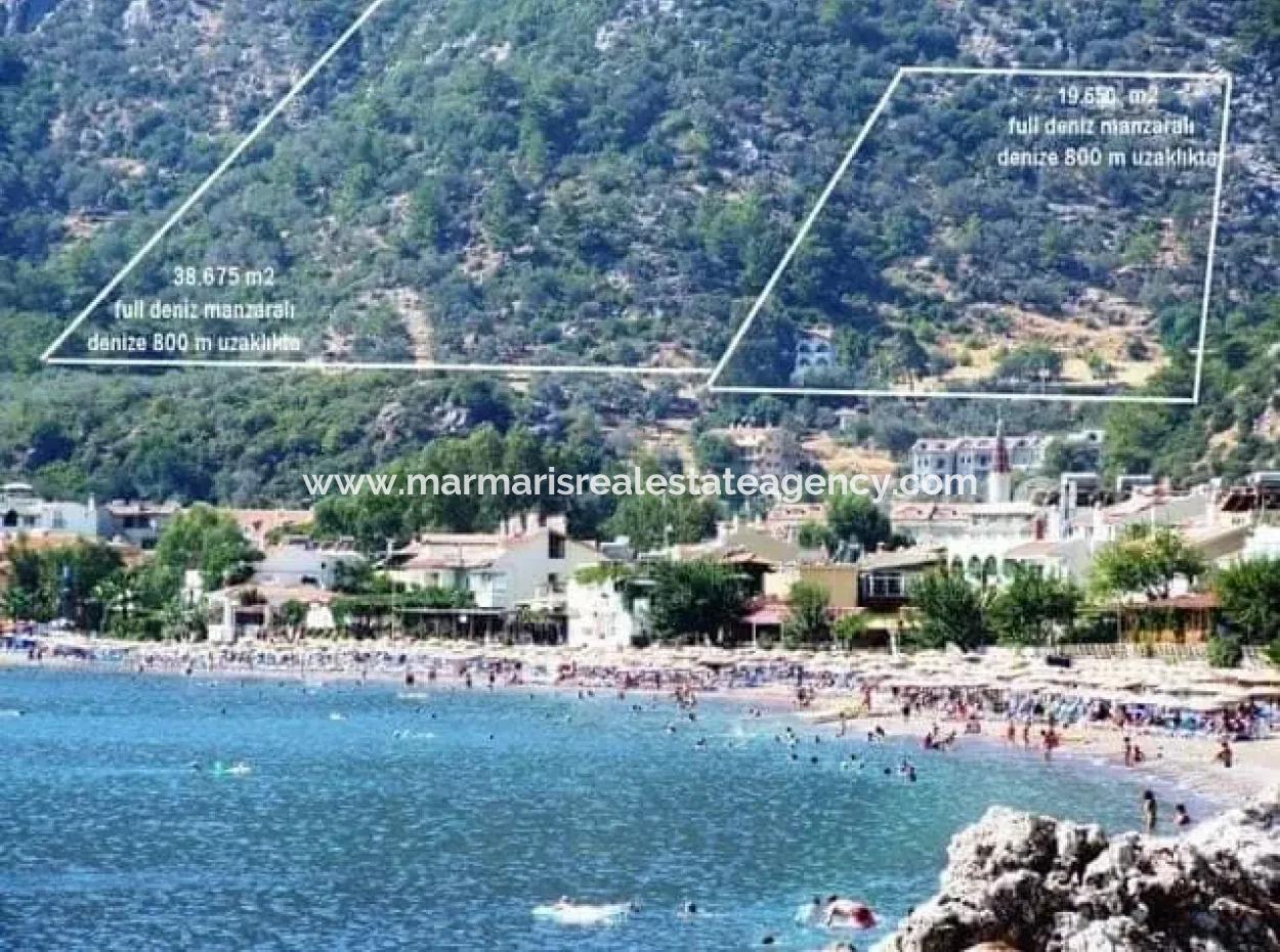 20000M2 Grundstück Mit Meerblick Zum Verkauf Gezonten 18 Km Von Marmaris