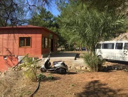 Wohnung Zum Verkauf In Turgut Dorf, Sowohl Am Arbeitsplatz Und Auf Der Straße Für Verkauf, 1 Zimmer, 1 Wohnzimmer