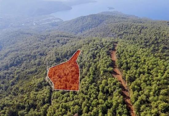 Marmaris Çetibelinde Wald Innerhalb 13.500 M2 Privat Nutzungsbereich