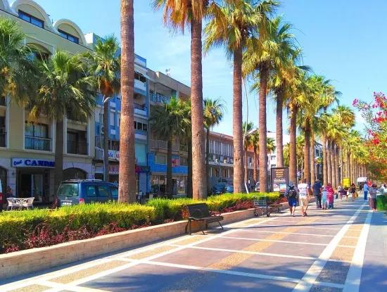 Häufig Gestellte Fragen