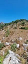 Field For sale in Selimiye Nbh. Marmaris - Field Zoned - 773 m²