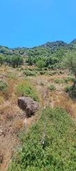 Field For sale in Selimiye Nbh. Marmaris - Field Zoned - 773 m²