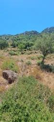 Field For sale in Selimiye Nbh. Marmaris - Field Zoned - 773 m²