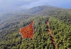Field For sale in Çetibeli Nbh. Marmaris - Field Zoned - 13.500 m²