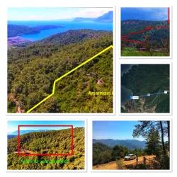 Field For sale in Çetibeli Nbh. Marmaris - Field Zoned - 13.500 m²