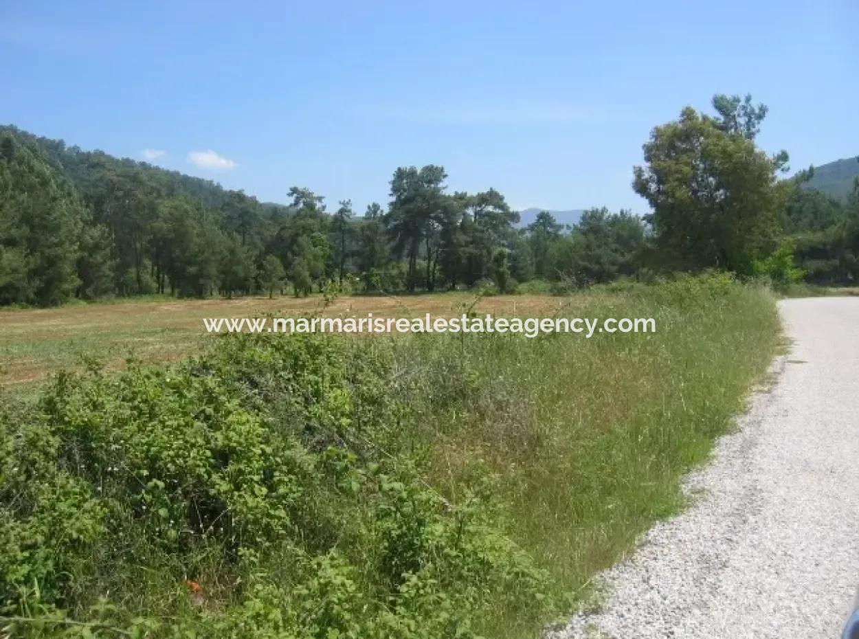 Urgent For Sale Plot In The Village Of 25.000 M2 Glazed Marmaris