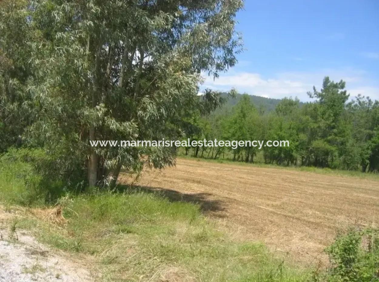 Urgent For Sale Plot In The Village Of 25.000 M2 Glazed Marmaris