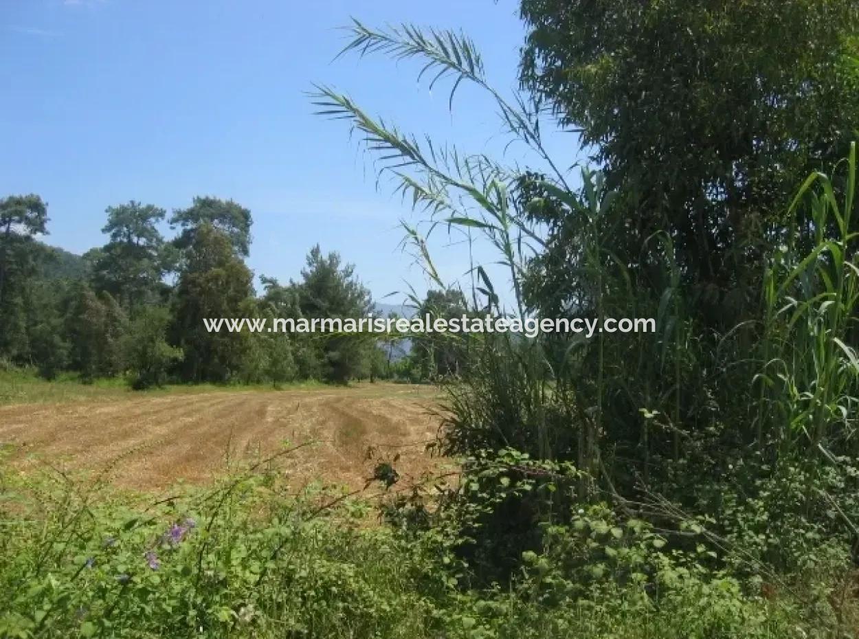Urgent For Sale Plot In The Village Of 25.000 M2 Glazed Marmaris
