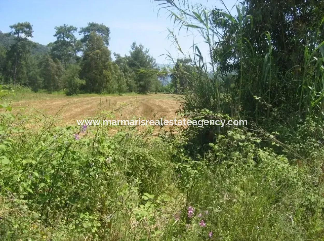 Urgent For Sale Plot In The Village Of 25.000 M2 Glazed Marmaris