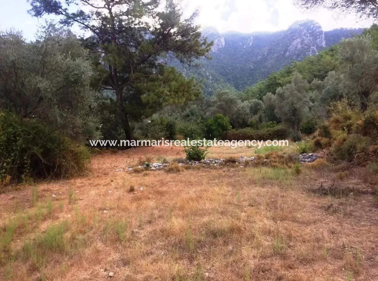 Orhaniye Marmaris District Of District Farmland For Sale 400 M2