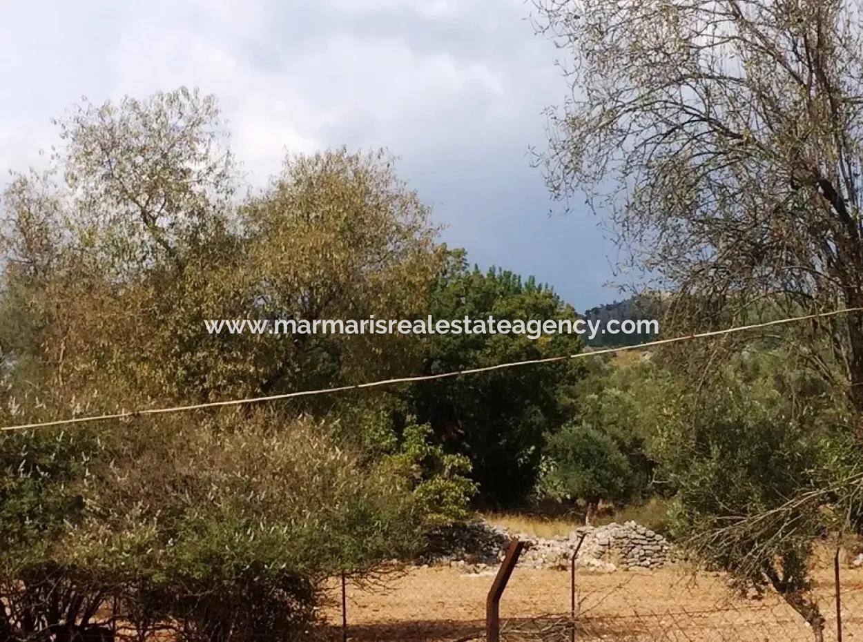 Orhaniye Marmaris District Of District Farmland For Sale 400 M2