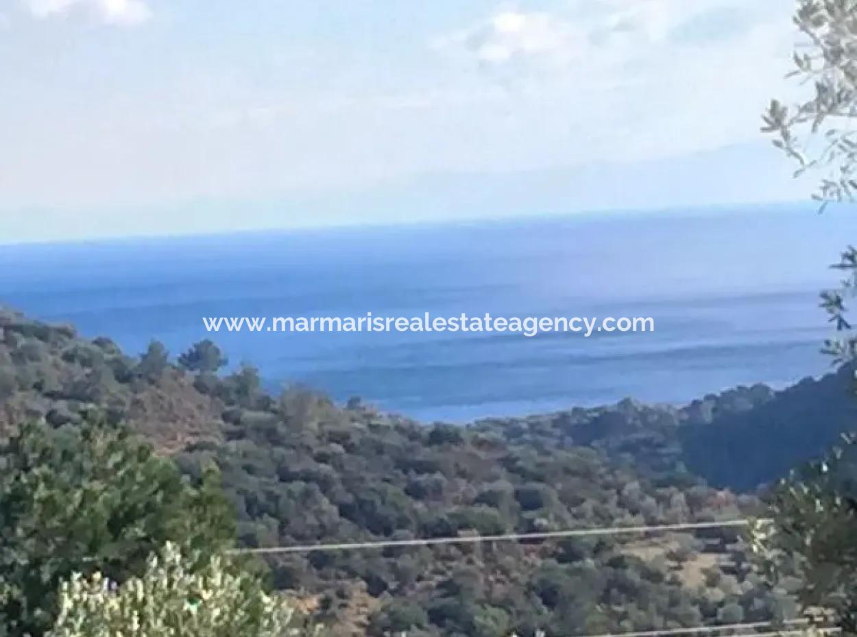 Land For Sale With Sea View With 52000M2 Parcel In Mugla Province Datca District Masoudye Neighborhood
