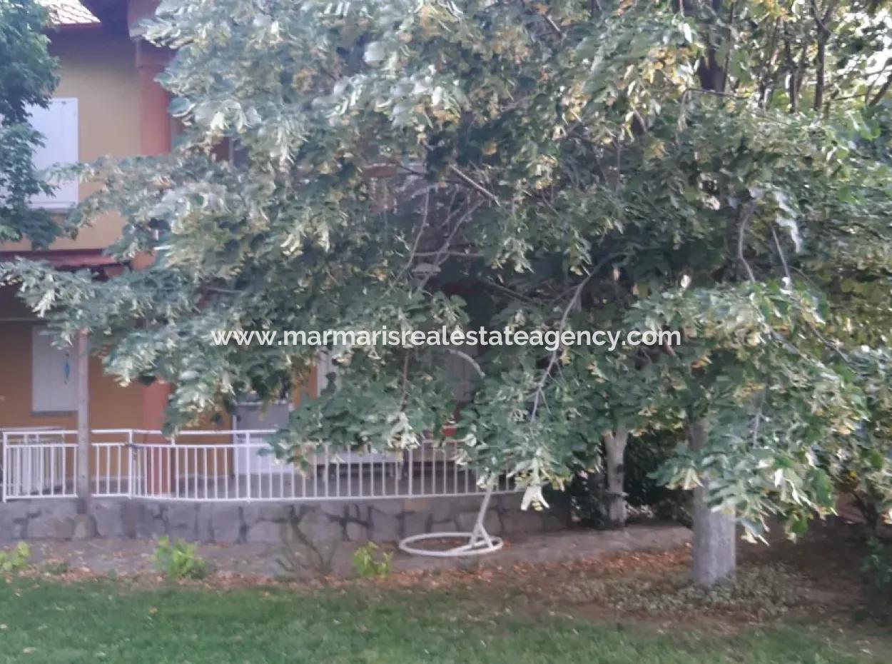 Manisa Prefecture Alasehir District 19000M2 Grapefring Farm For Urgent Sale