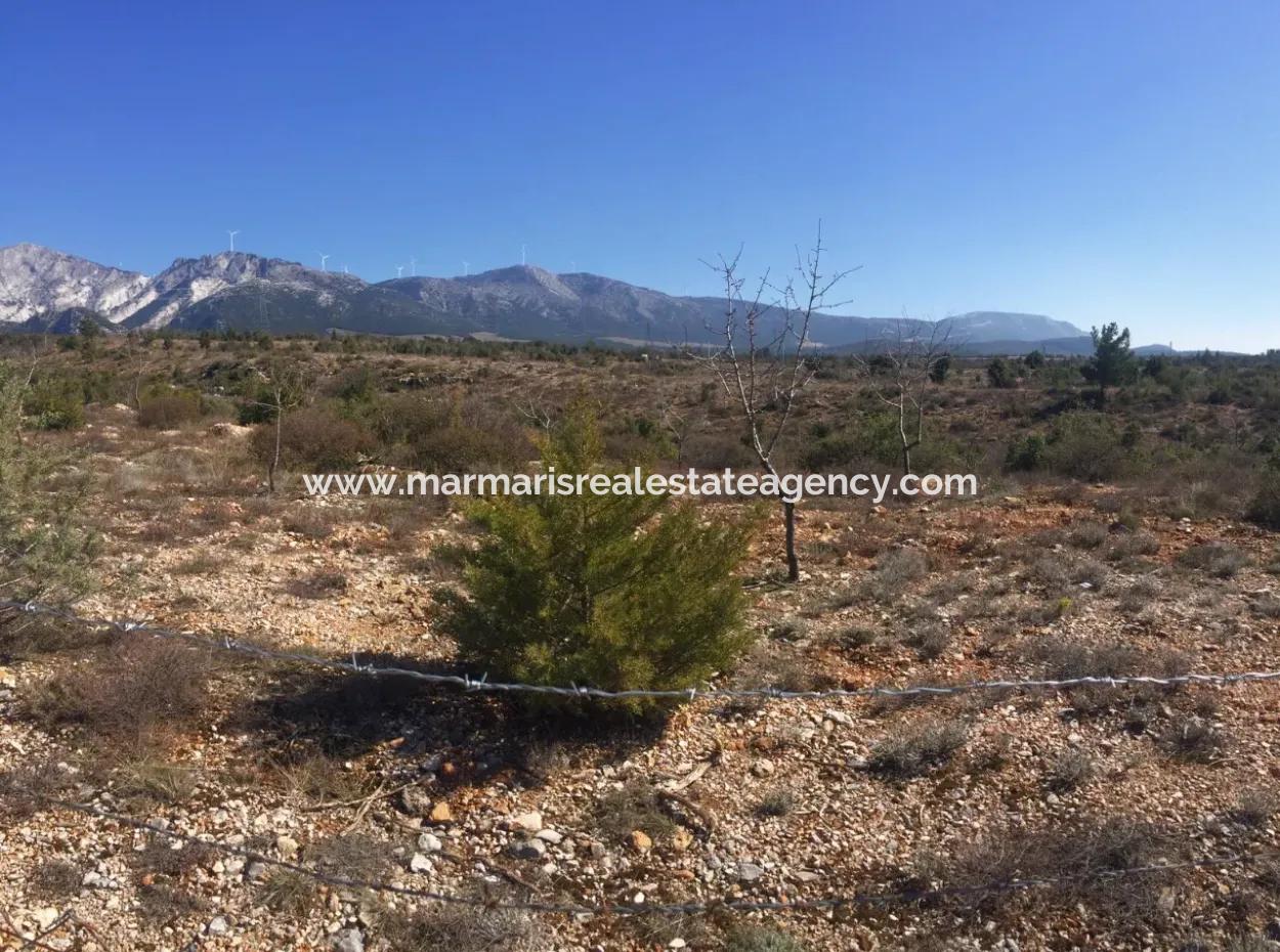 The 200000M2 Almond Garden Is For Sale In The Center Of Mugla.