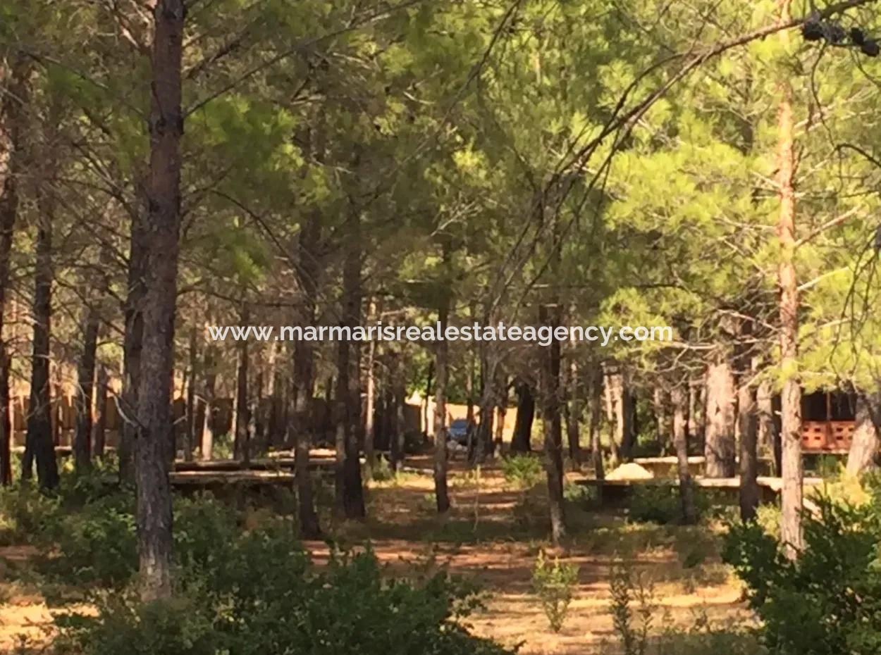 Land For Sale Suitable For Bungalow Hotel In 7500M2 Plot In Bördübet Bay