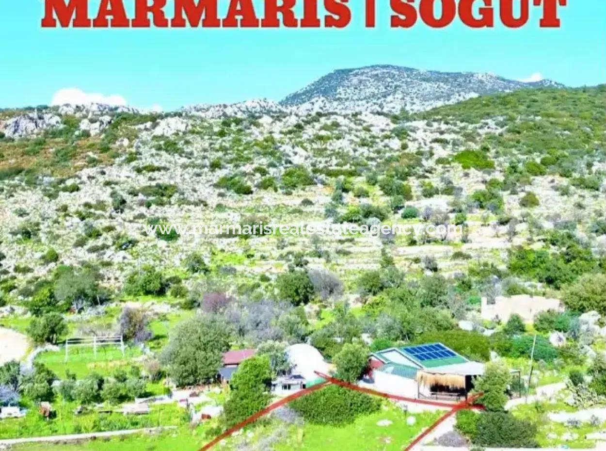 A 380M2 Land For Sale By The Sea In Söğüt Neighborhood Of Marmaris District From A Real Estate Agent