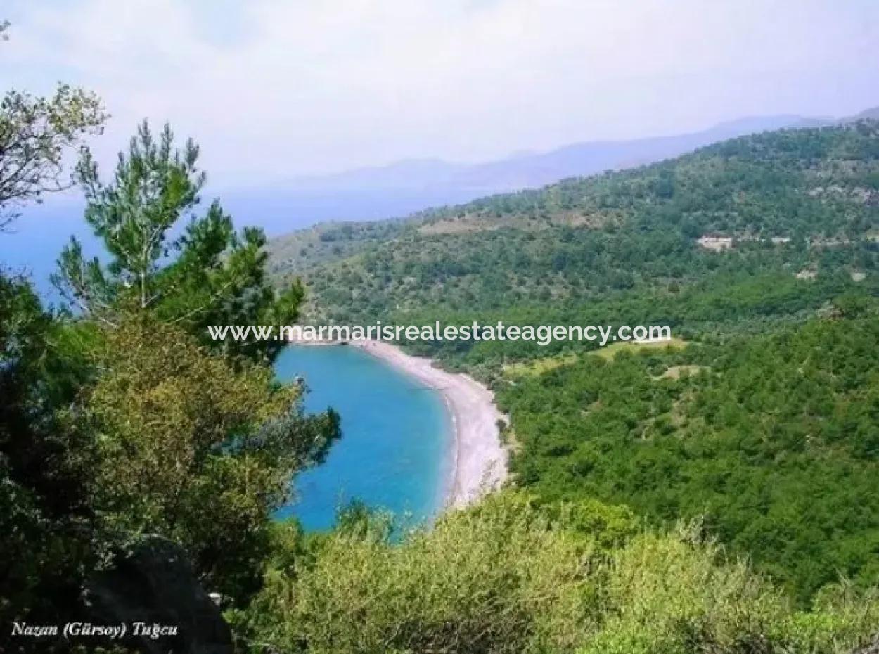 100000M2 Zoned Village 60 Km From The Center Of Datca For Sale