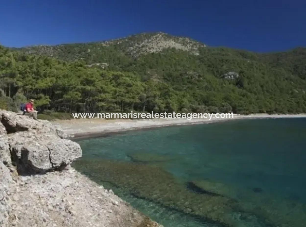 100000M2 Zoned Village 60 Km From The Center Of Datca For Sale