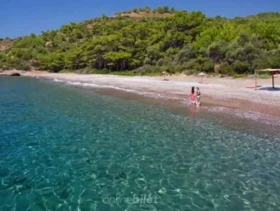 100000M2 Zoned Village 60 Km From The Center Of Datca For Sale