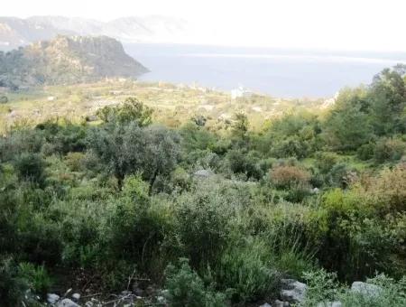 15000M2 Land For Sale With Sea Views At Kumlubük Bay, Marmaris