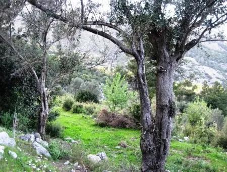 15000M2 Land For Sale With Sea Views At Kumlubük Bay, Marmaris