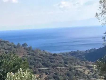 Land For Sale With Sea View With 52000M2 Parcel In Mugla Province Datca District Masoudye Neighborhood