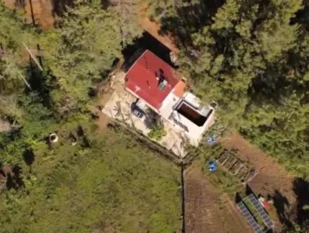 Ortaca Neighborhood For Sale 10.000 M2 Custom Made Farmhouse With Pool