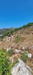 Marmaris Selimiye Mah. Satılık Tarla - Tarla İmar Durumlu - 773 m²