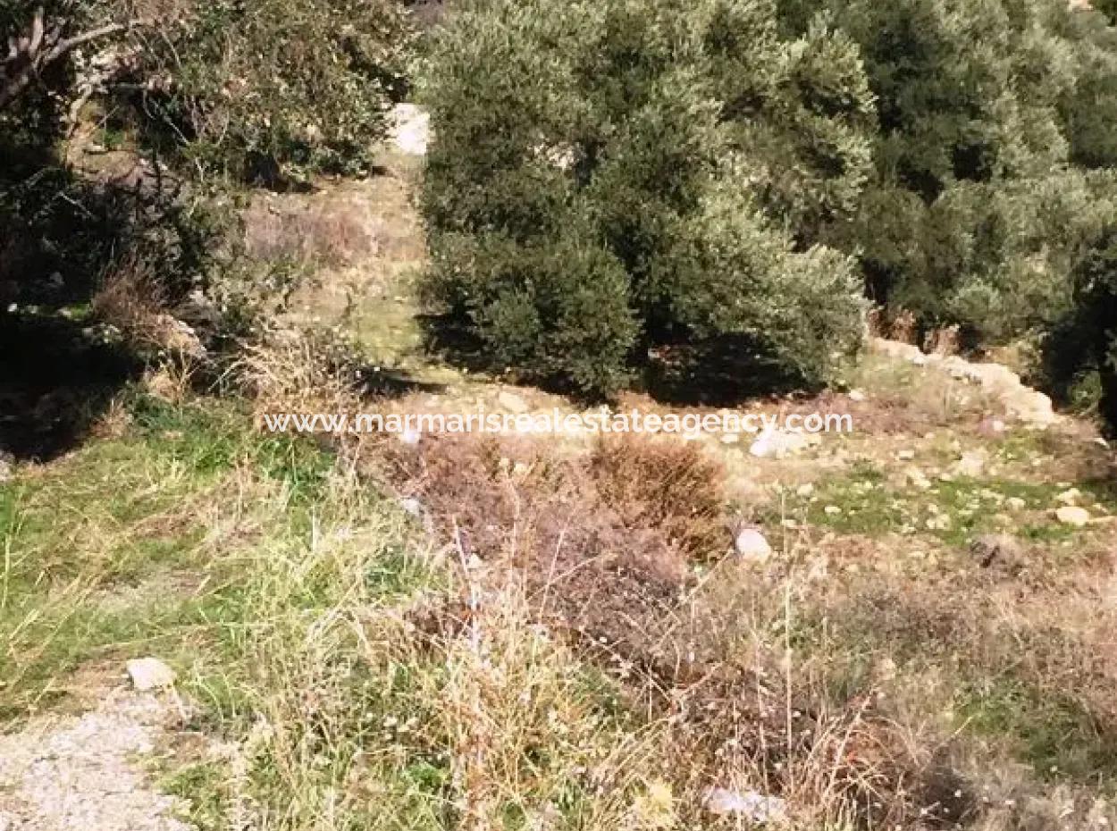 Muğla İli Datça İlçesi Mesudiye Mahallesinde 52000M2 Parselasyonu Yapılmış Deniz Manzaralı Satılık Arsa