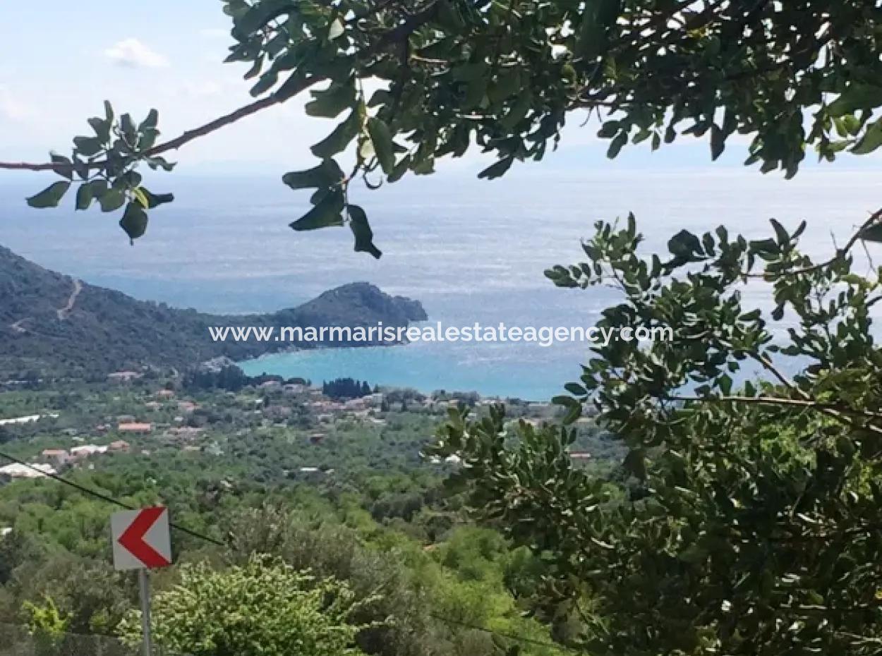 Muğla İli Datça İlçesi Mesudiye Mahallesinde 52000M2 Parselasyonu Yapılmış Deniz Manzaralı Satılık Arsa