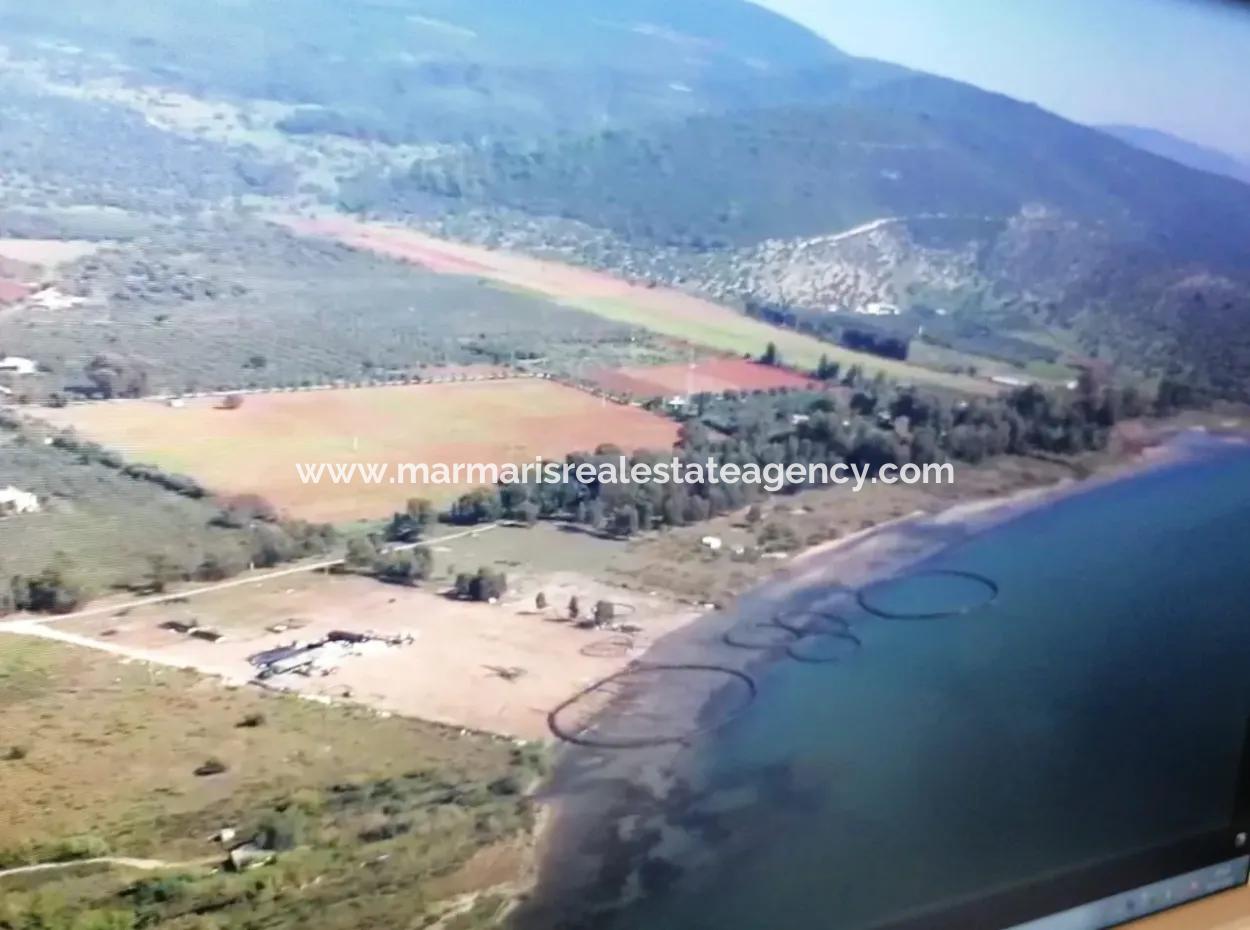Milas Kıyıkışlacık Mevkisinde Denize Sıfır 712000M2 Turizm Ve Konut İmarlı Büyük Projelere Uygun Satılık Arsa