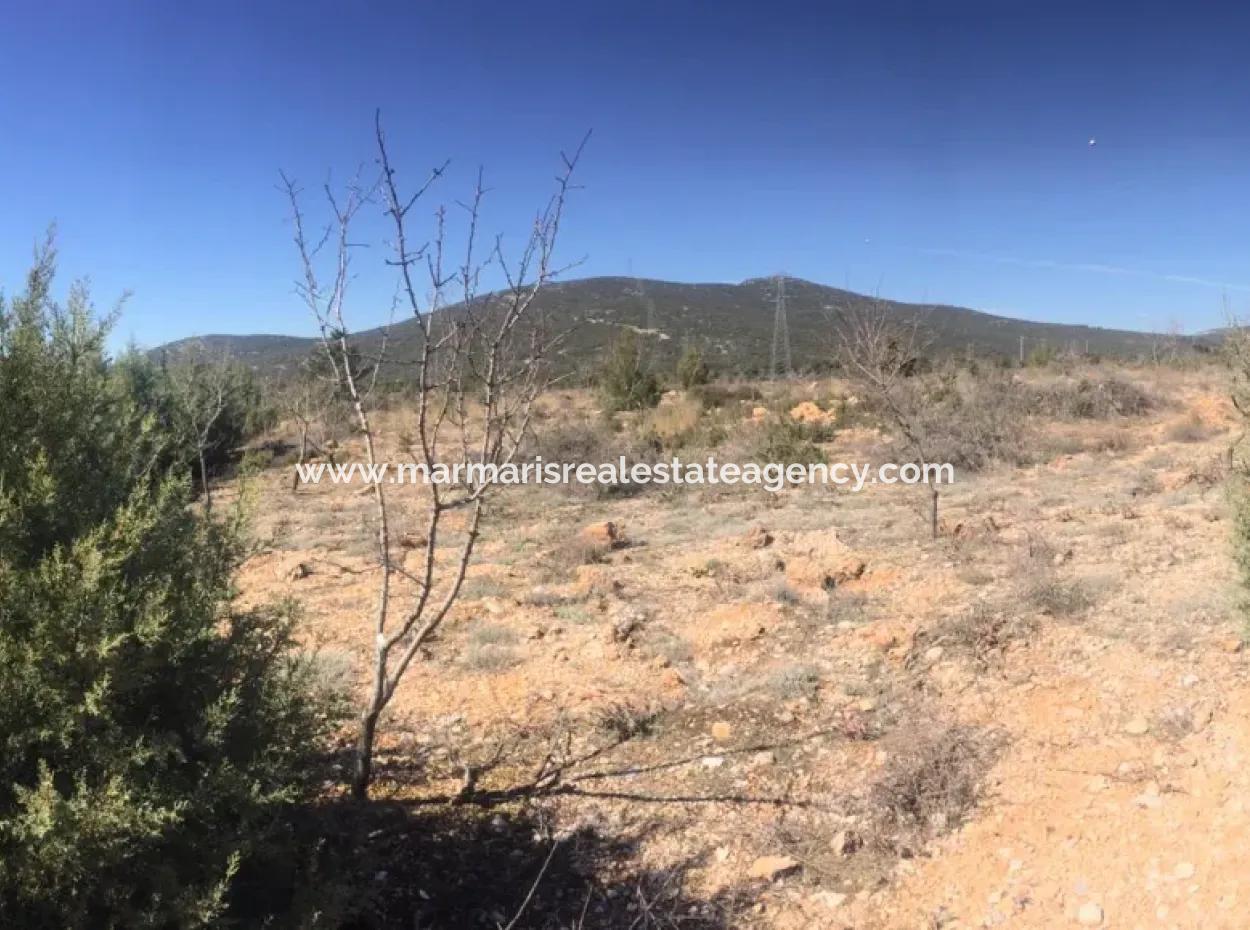 Muğla Merkezinde 200000M2 Badem Bahçesi Satılıktır.