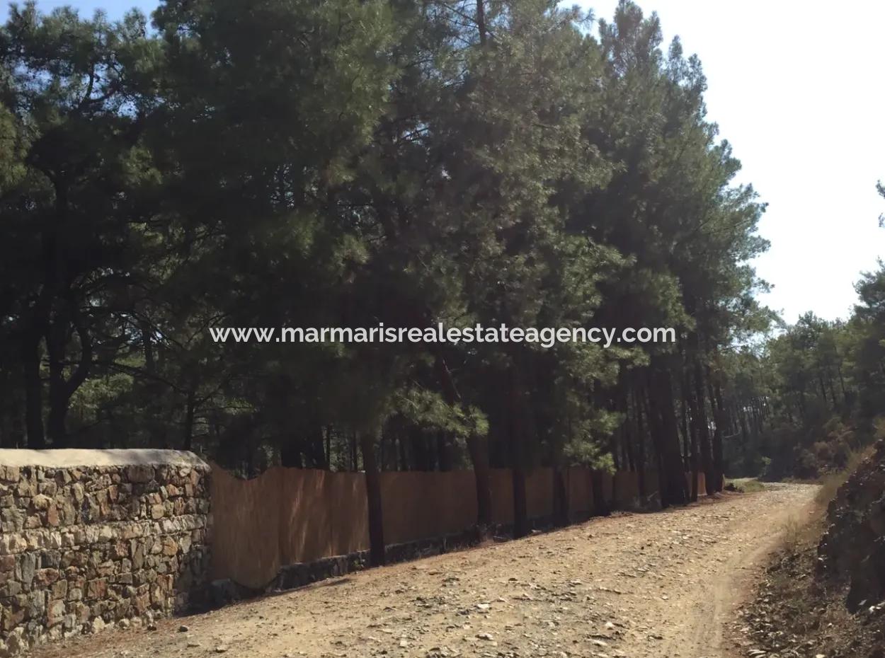 Bördübet Koyunda 7500M2 Arsa İçerisinde Bungalow Otel İçin Uygun Satılık Arsa