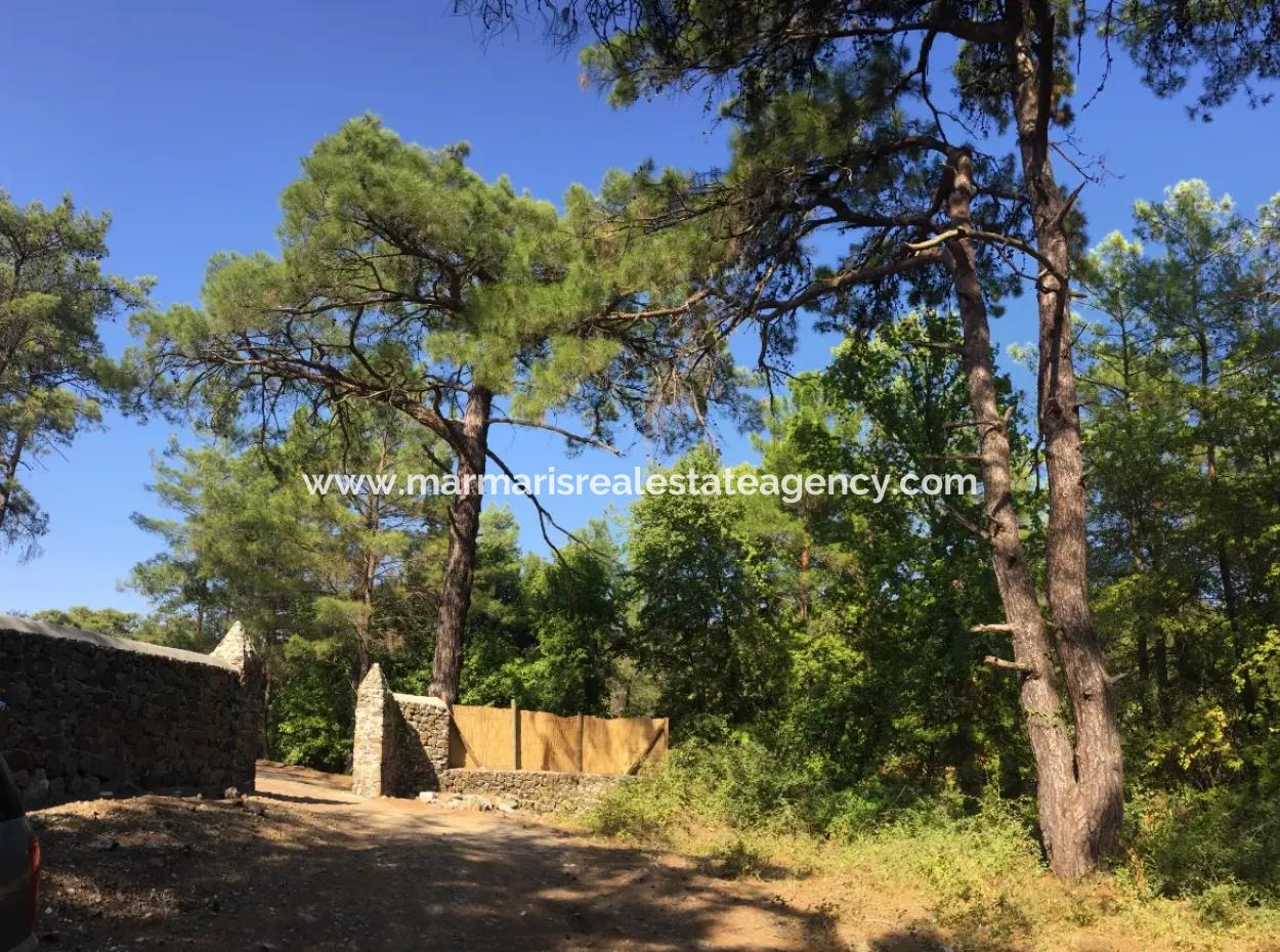 Bördübet Koyunda 7500M2 Arsa İçerisinde Bungalow Otel İçin Uygun Satılık Arsa