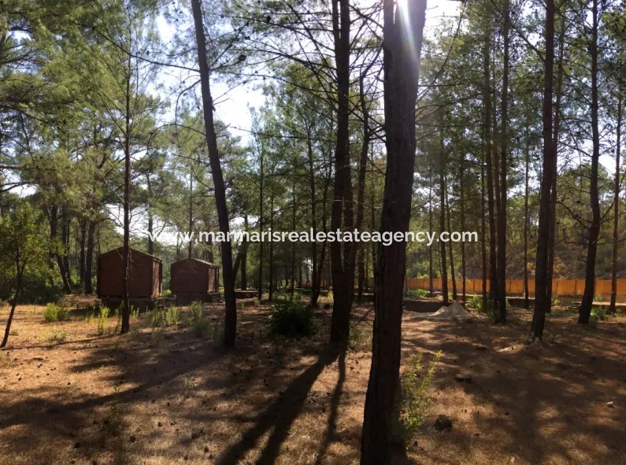 Bördübet Koyunda 7500M2 Arsa İçerisinde Bungalow Otel İçin Uygun Satılık Arsa