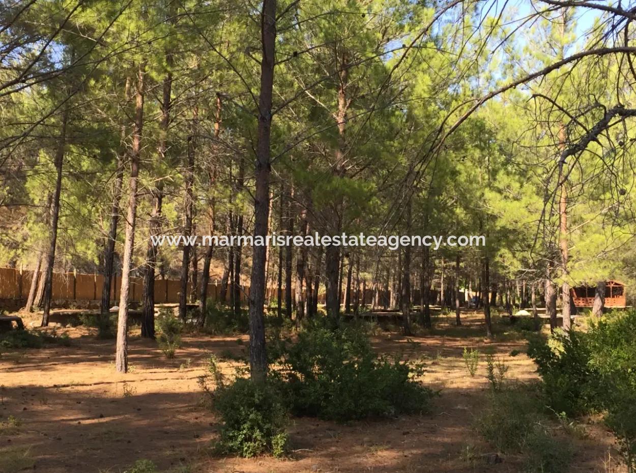 Bördübet Koyunda 7500M2 Arsa İçerisinde Bungalow Otel İçin Uygun Satılık Arsa