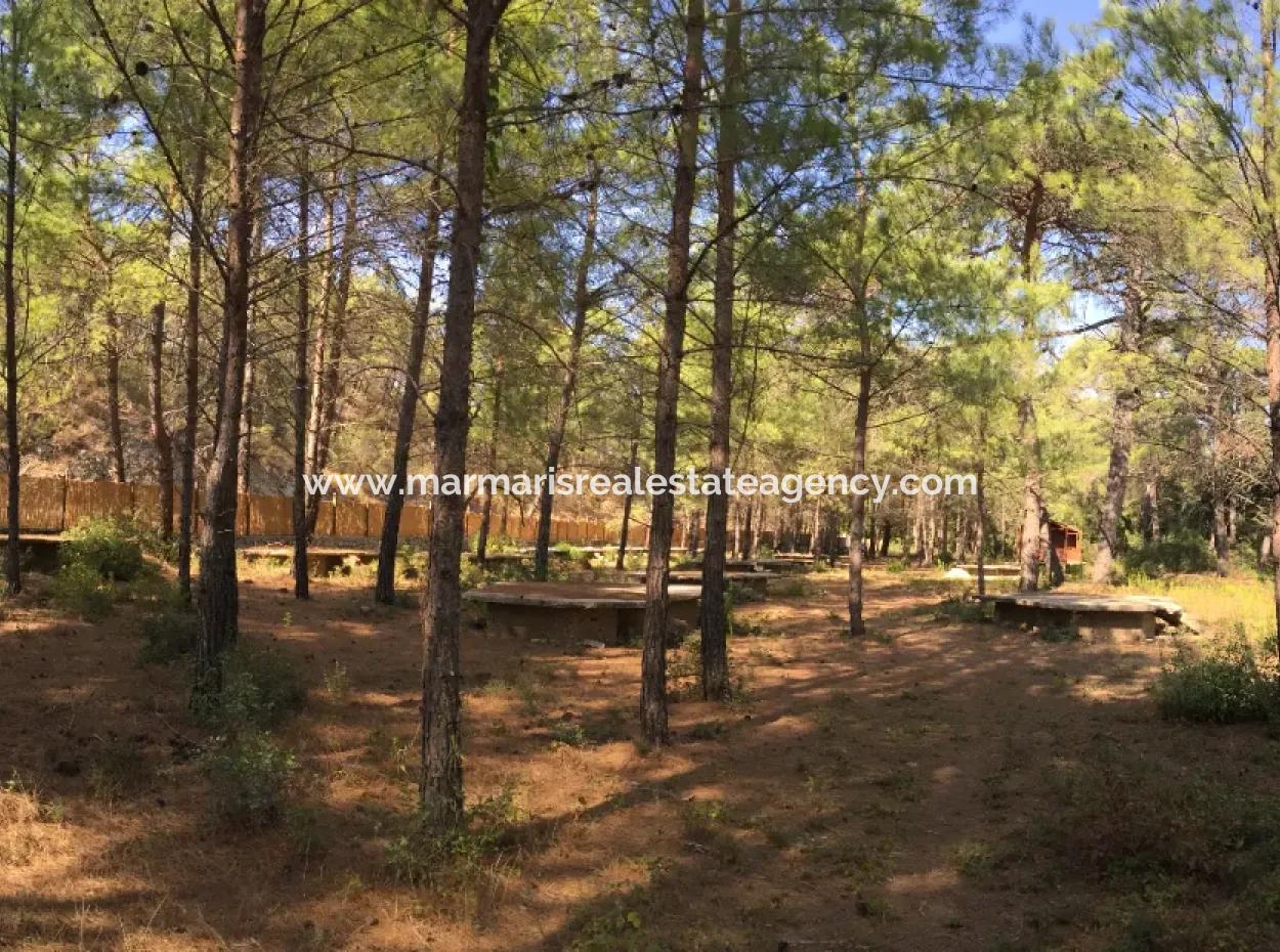 Bördübet Koyunda 7500M2 Arsa İçerisinde Bungalow Otel İçin Uygun Satılık Arsa