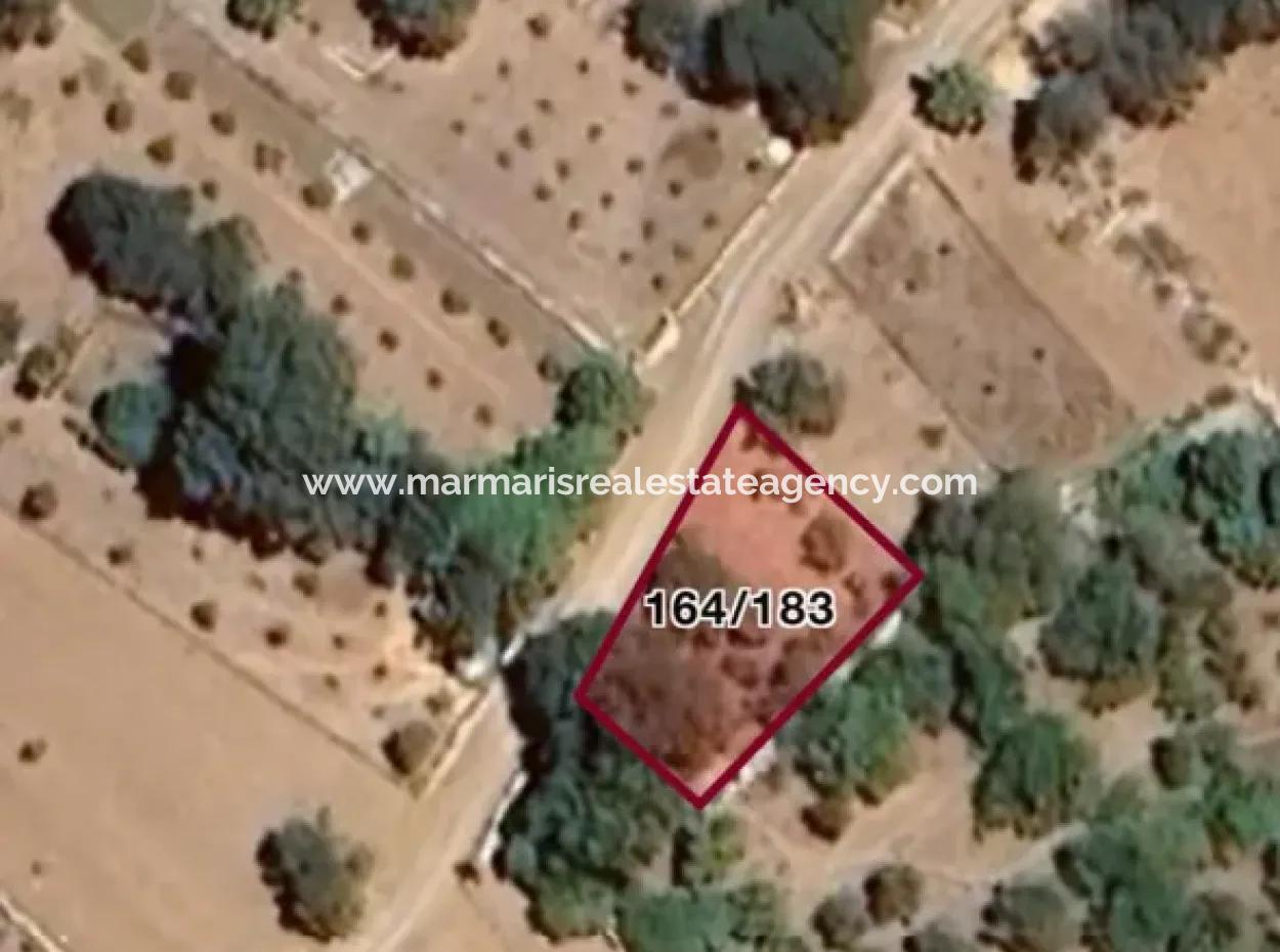 Marmaris Söğüt Köyünde Satılık Denize Yürüme Mesafesinde 350M2 Tarla