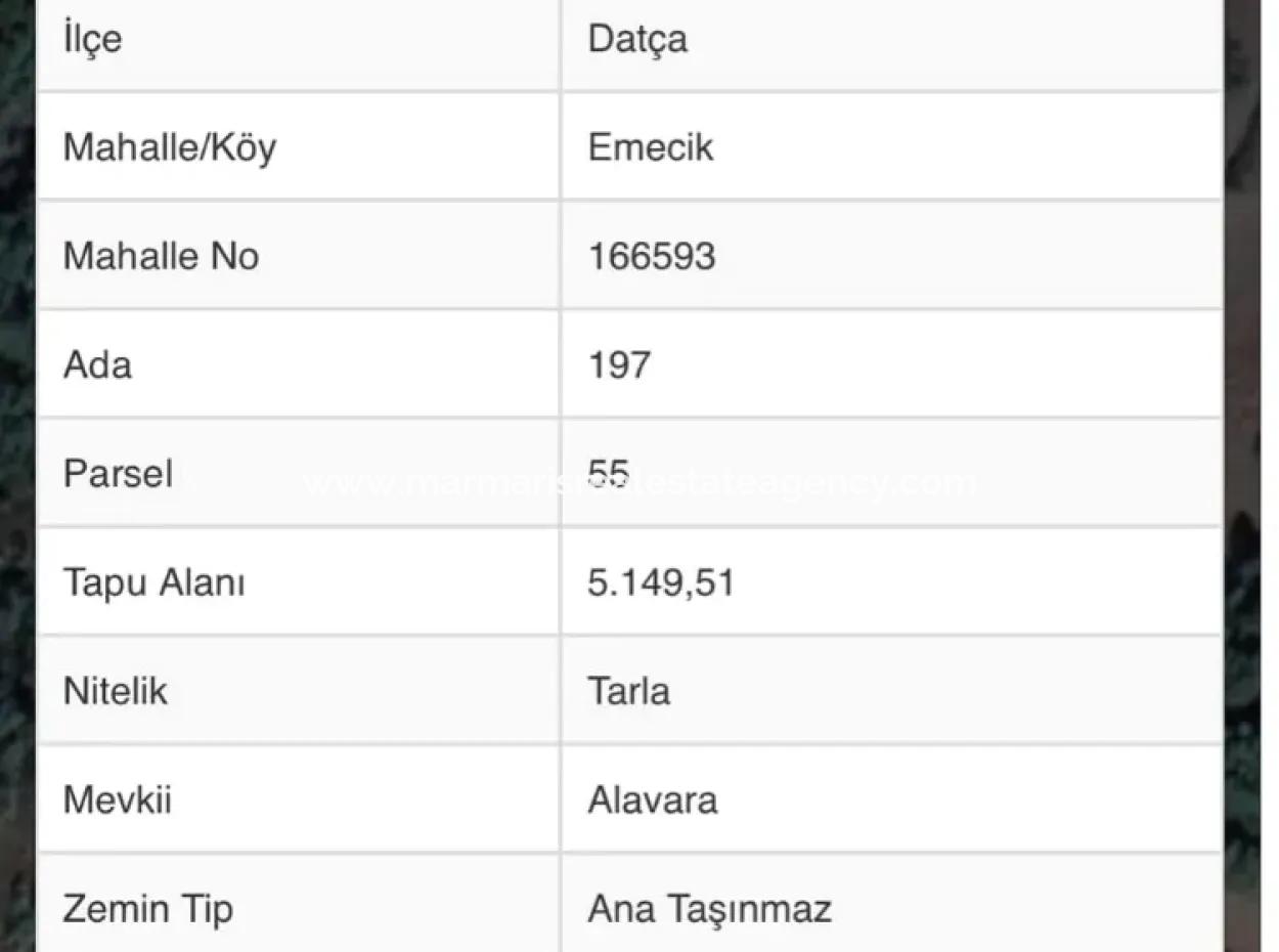 Datça İlçesi Avlana Mahallesinde 5200M2 Denize Yakın Yatırım İçin Uygun Satılık Arsa