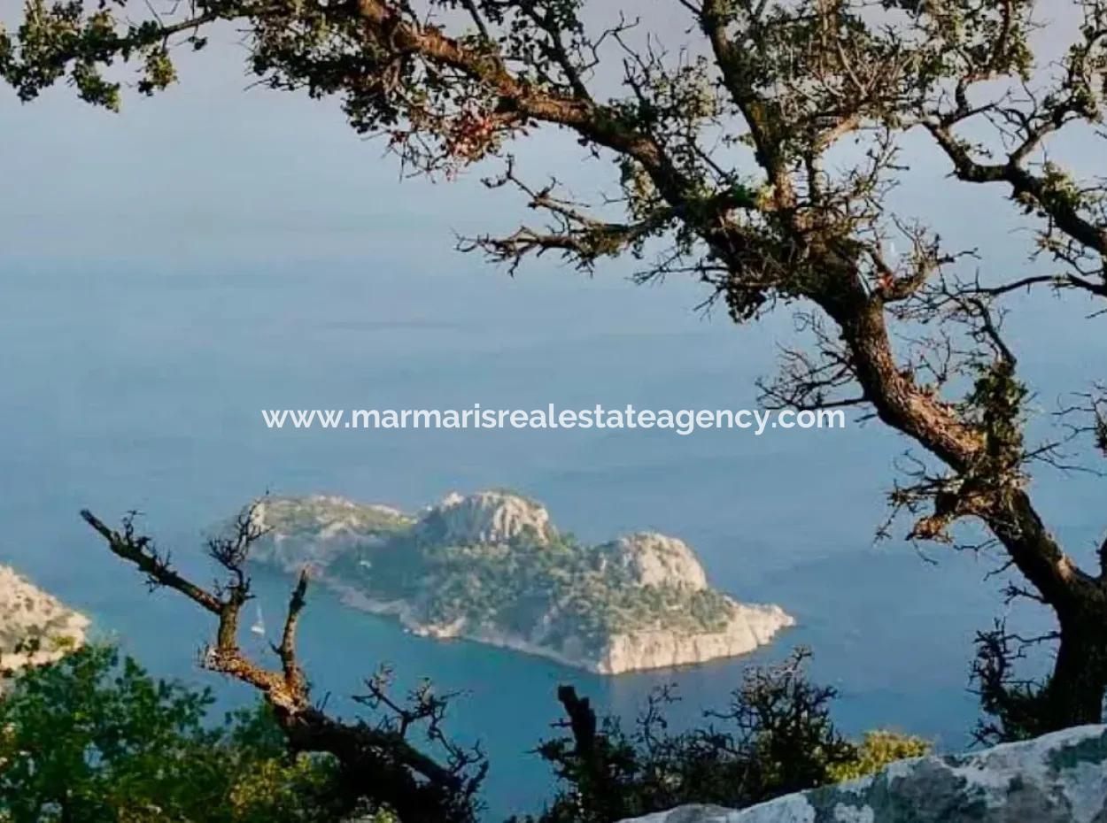 Marmaris Bölgesinde 81000M2  Satılık Ada 31000M2 Tapu İçerisinde Yasal Evi Bulunan Resmi Elektrik Su Mevcut Malikane